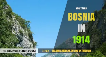 Bosnia in 1914: A Spark in the Powder Keg of Europe