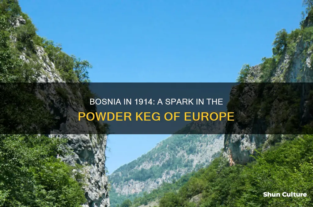 what was bosnia in 1914