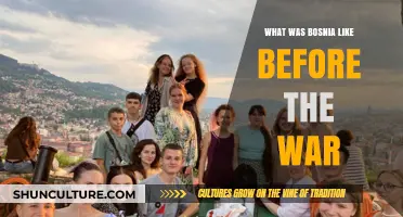 Bosnia Before the War: A Snapshot of Peace and Diversity