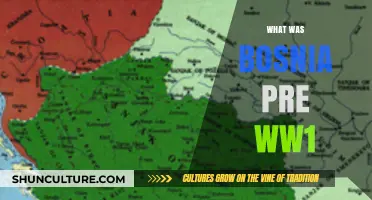 Bosnia Before World War I: A Historical Overview of Its Society