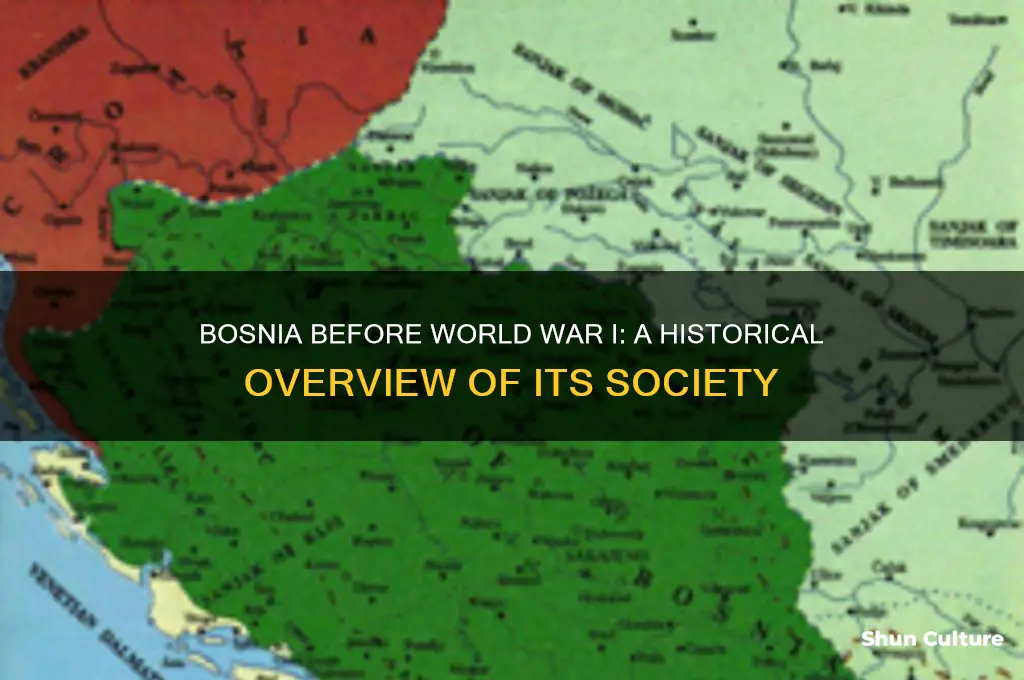 what was bosnia pre ww1