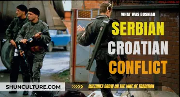The Bosnian War: Unraveling the Serbian-Croatian Conflict and Its Legacy
