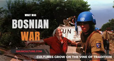 Understanding the Bosnian War: Causes, Conflict, and Consequences Explained