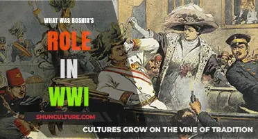 Bosnia's Spark: Igniting World War I and Shaping History