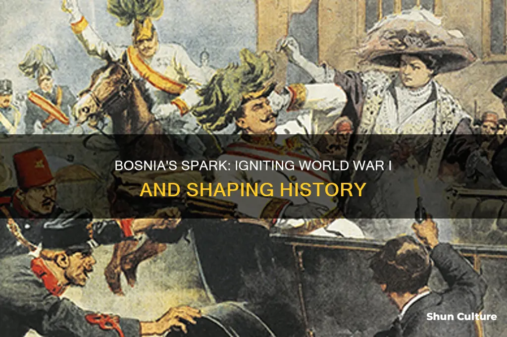 what was bosnia