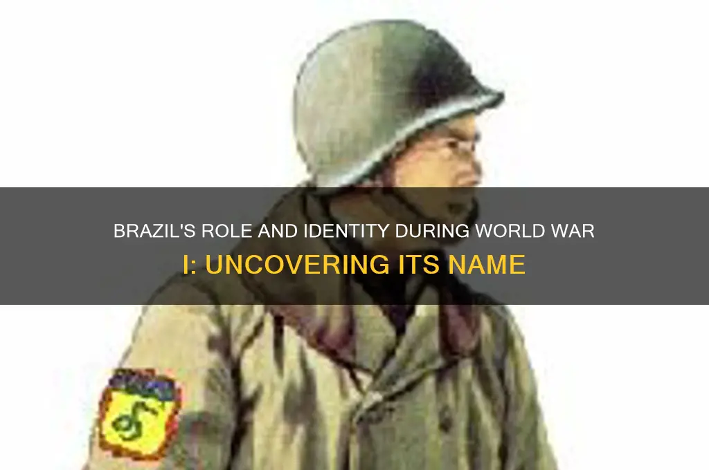 what was brazil called during world war one