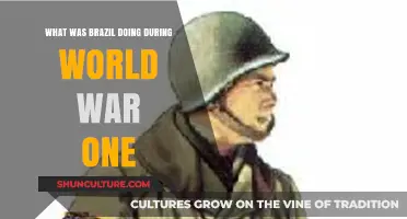 Brazil's Role and Impact During World War One Explained