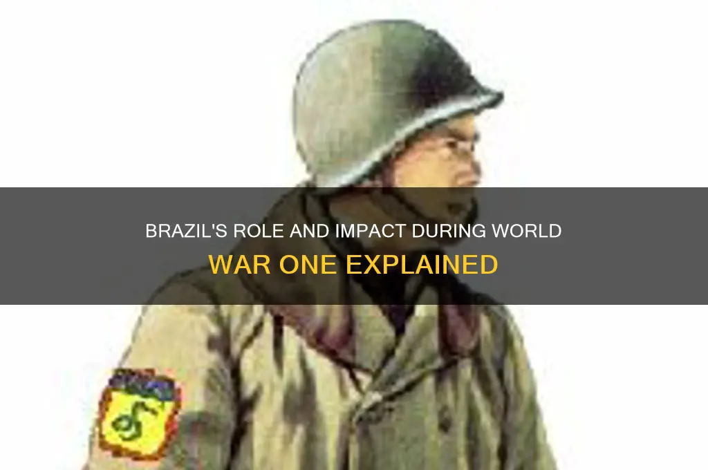 what was brazil doing during world war one