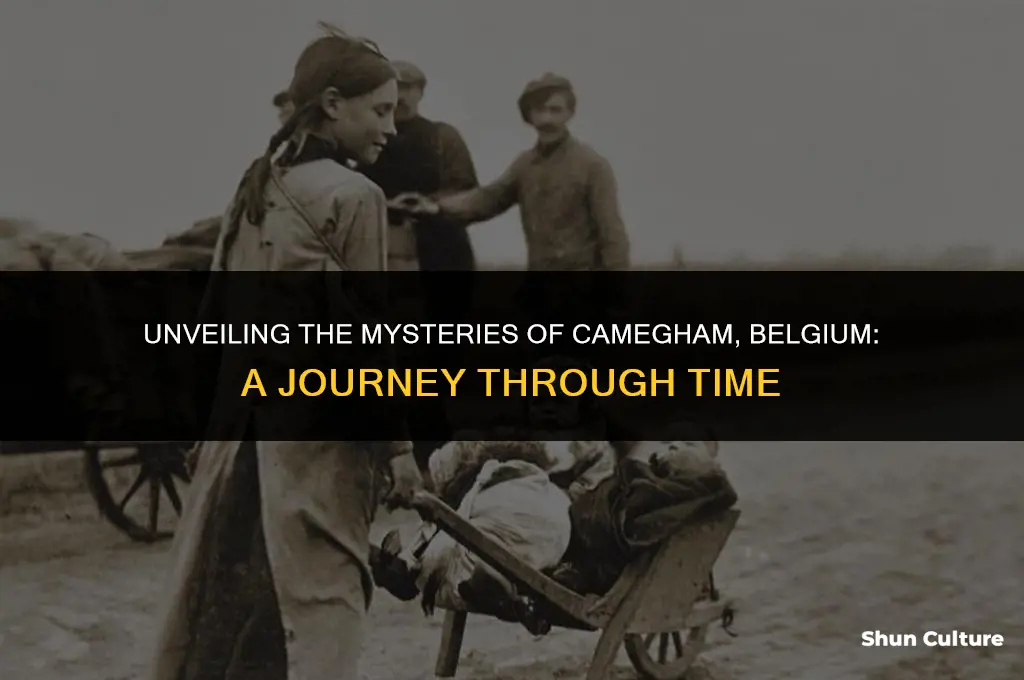 what was camegham belgium