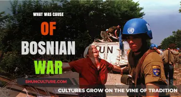 The Bosnian War: Unraveling the Complex Causes of the Conflict