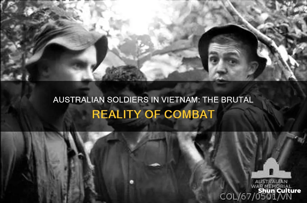 what was combat like for australian soldiers in vietnam