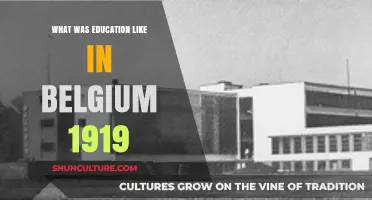 Exploring Education in Post-War Belgium: A 1919 Perspective