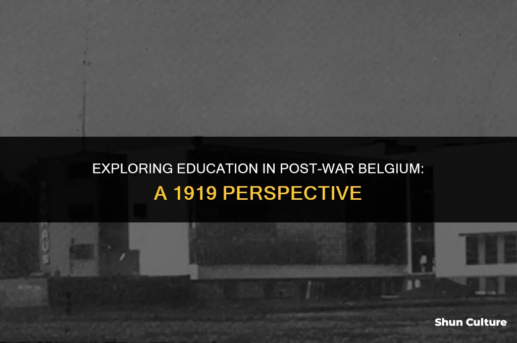 what was education like in belgium 1919