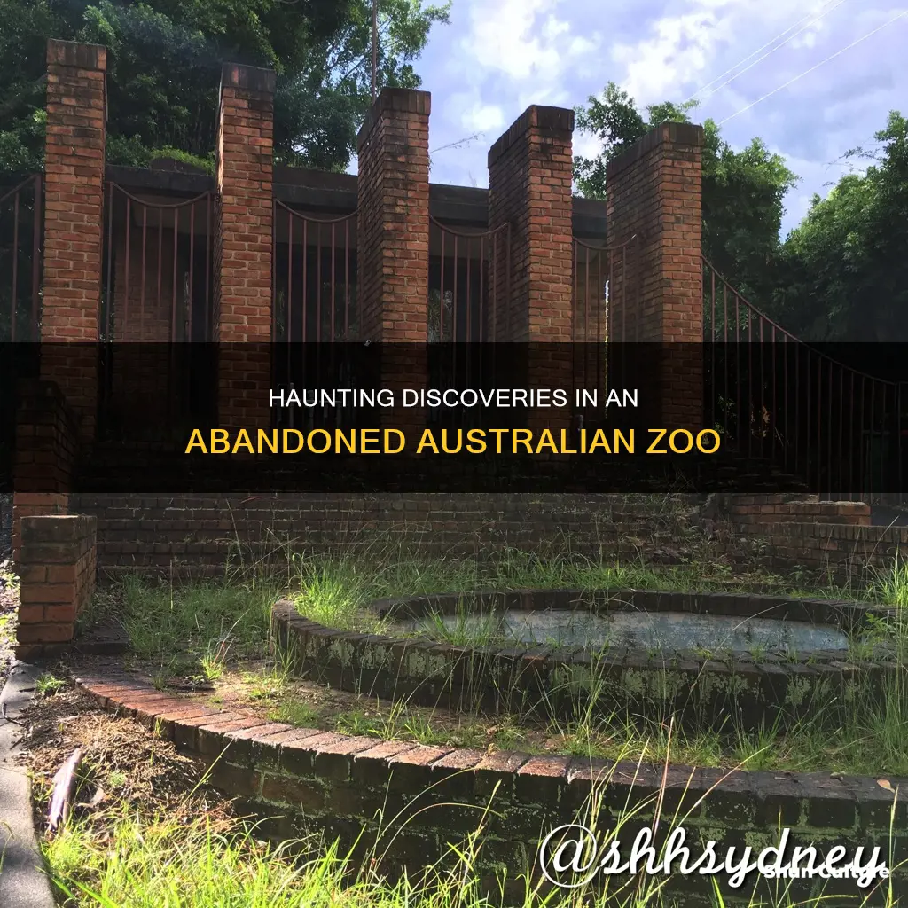 what was found in abandoned zoo in australia