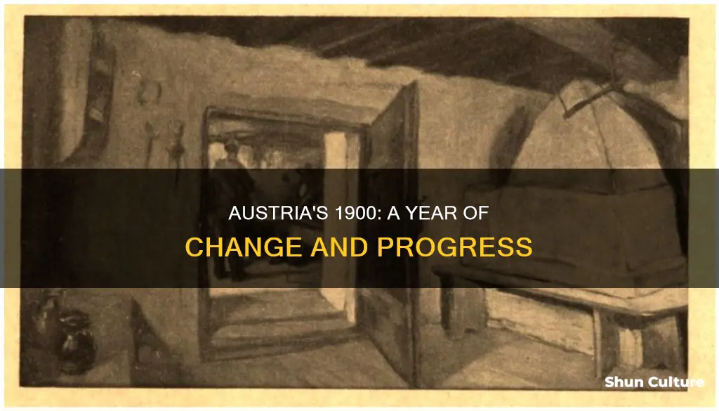 what was going on in austria in 1900