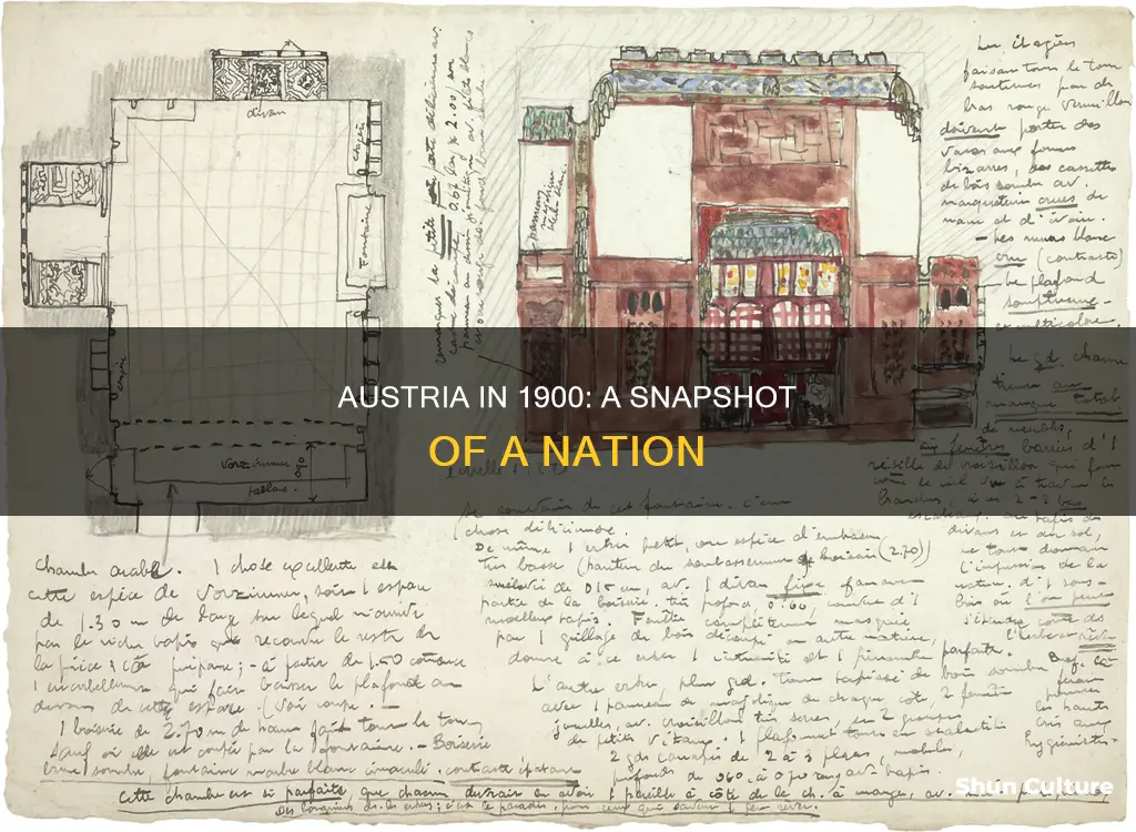 what was going on in austria in 1900