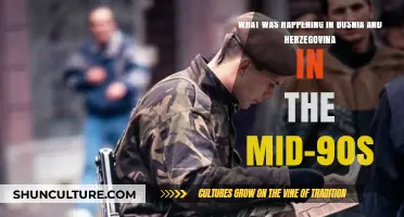 Bosnia and Herzegovina's Mid-90s Crisis: War, Division, and International Intervention