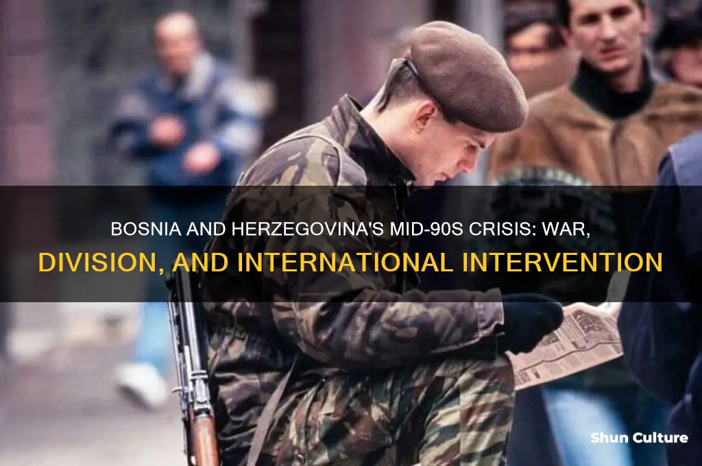 what was happening in bosnia and herzegovina in the mid-90s