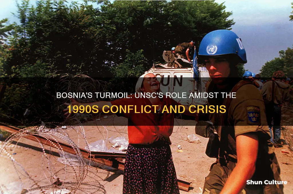 what was happening in bosnia during the unsc