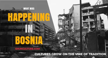 Bosnia's Turbulent Past: Unraveling the Events of a Nation in Crisis