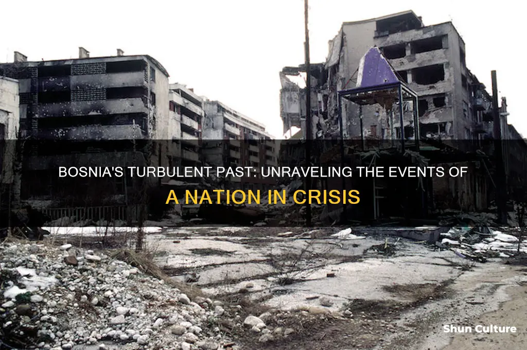 what was happening in bosnia