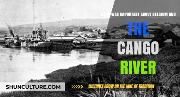 Belgium's Colonial Legacy: The Congo River's Pivotal Role