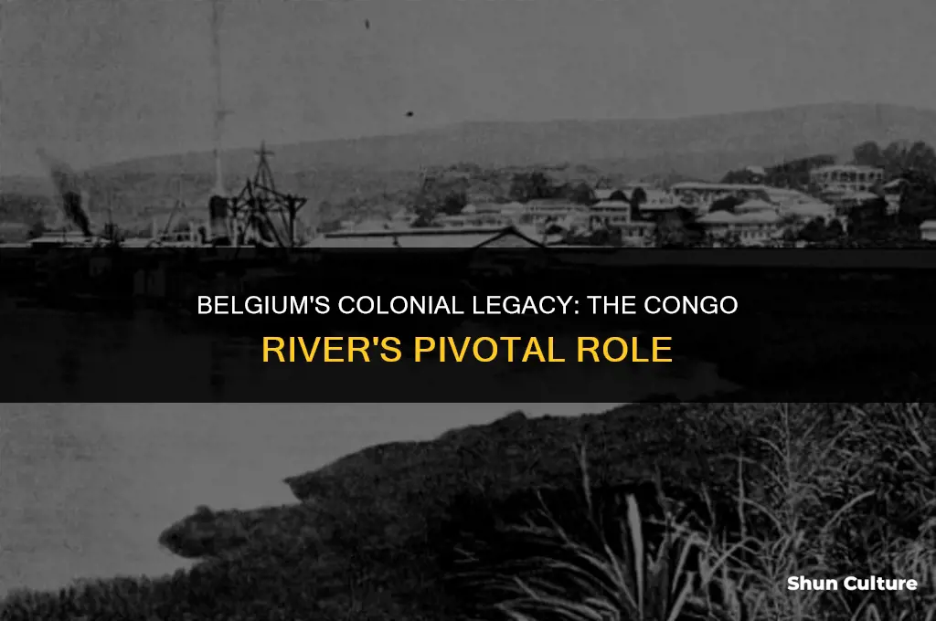 what was important about belgium and the cango river