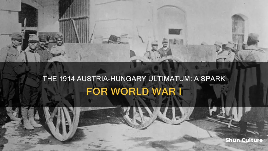 what was in austria hungary ultimatum