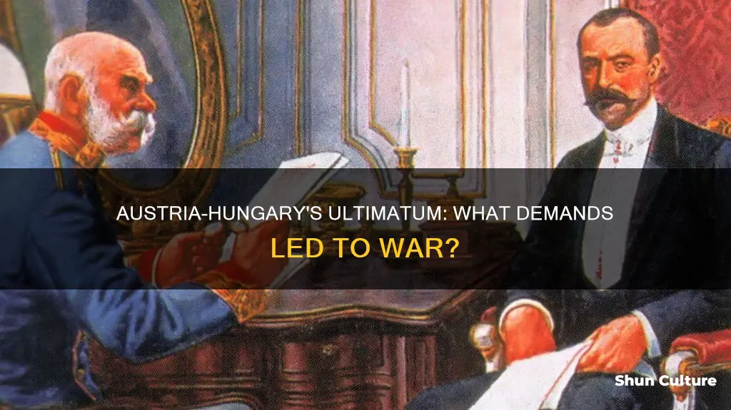 what was in austria hungary ultimatum