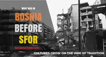 Bosnia's Pre-SFOR History: Uncovering the Nation's Past Before 1996