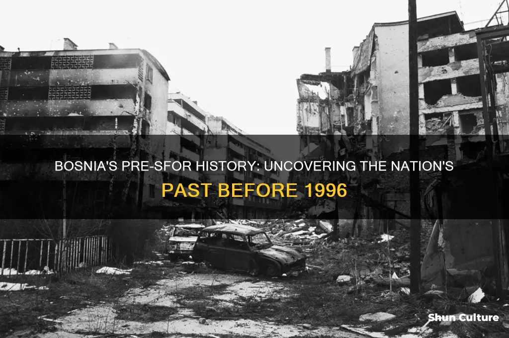 what was in bosnia before sfor