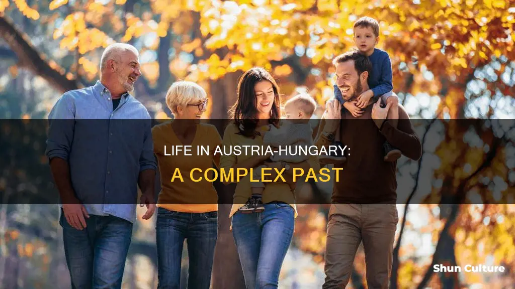 what was it like living in austria-hungary