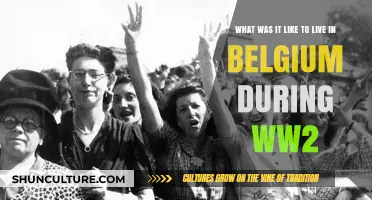 Surviving the Shadows: Life in Belgium During World War II
