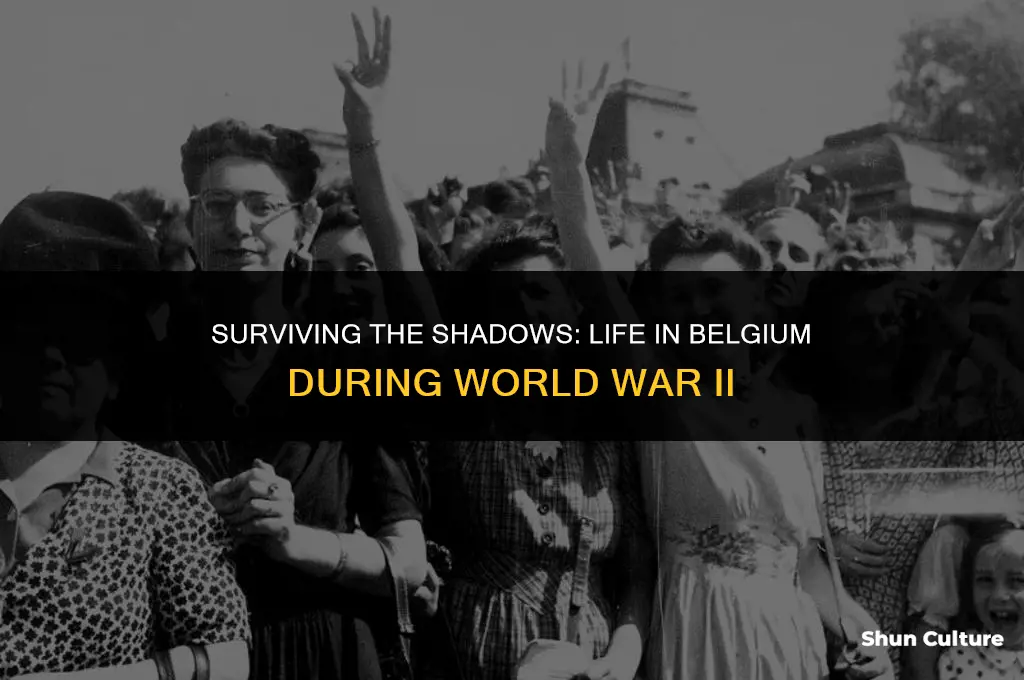 what was it like to live in belgium during ww2