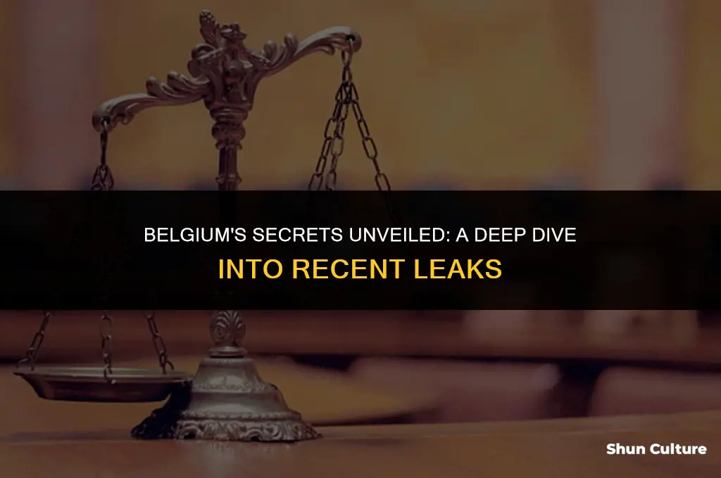 what was leaked about belgium