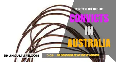 Chains, Hardship, and Hope: Convict Life in Colonial Australia