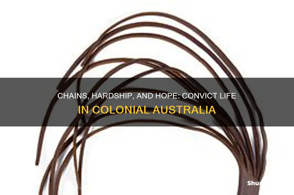 what was life like for convicts in australia