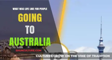 Life in Australia: Immigrants' Stories and Struggles