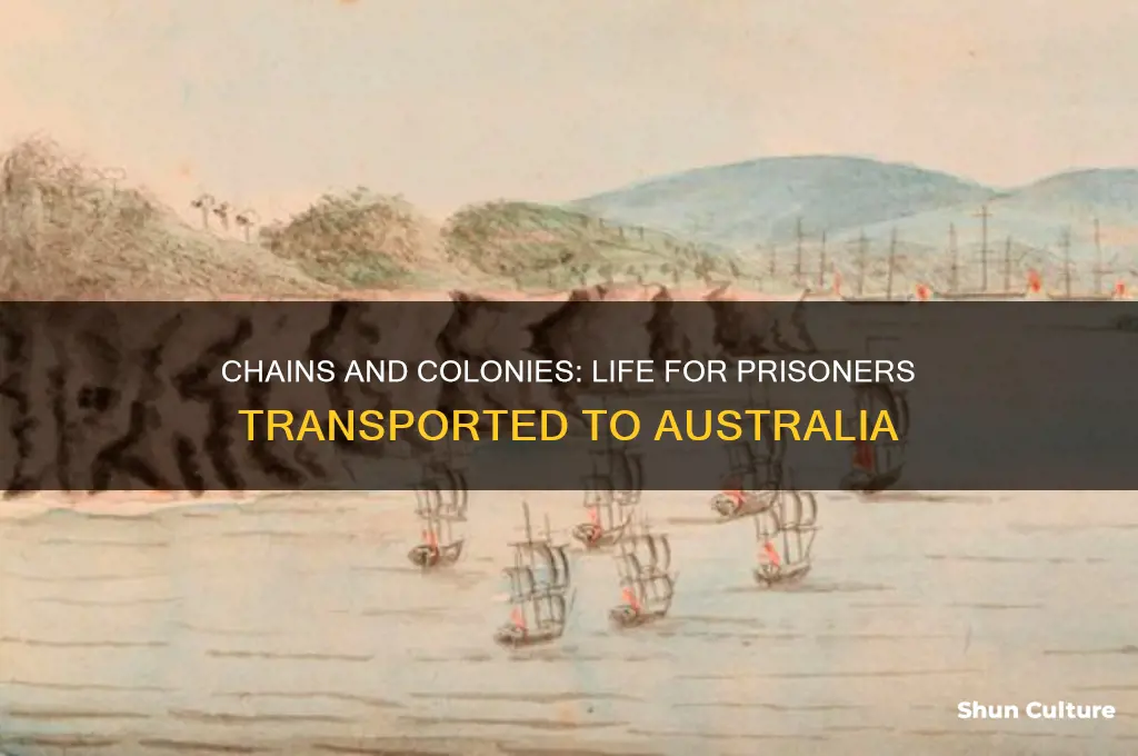 what was life like for prisoners going to australia