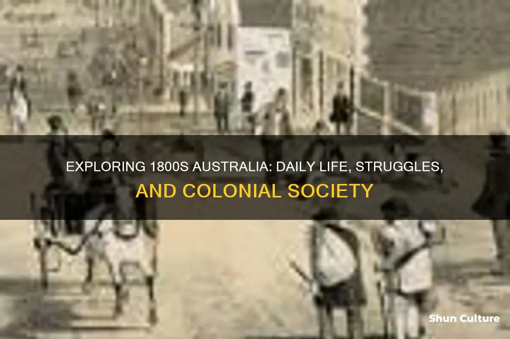 what was life like in 1800s australia