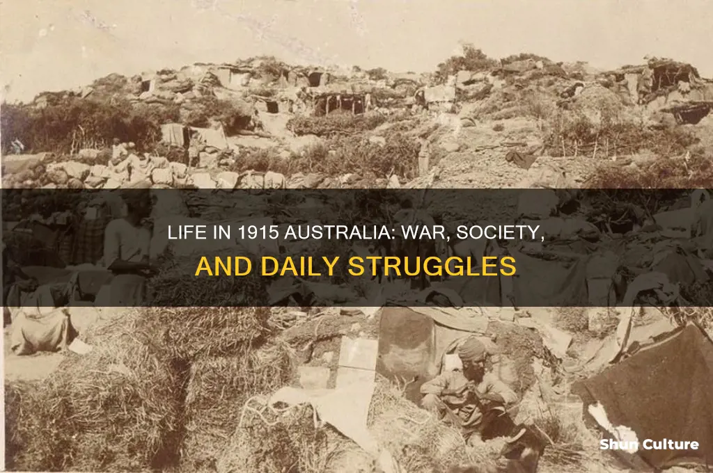 what was life like in 1915 australia