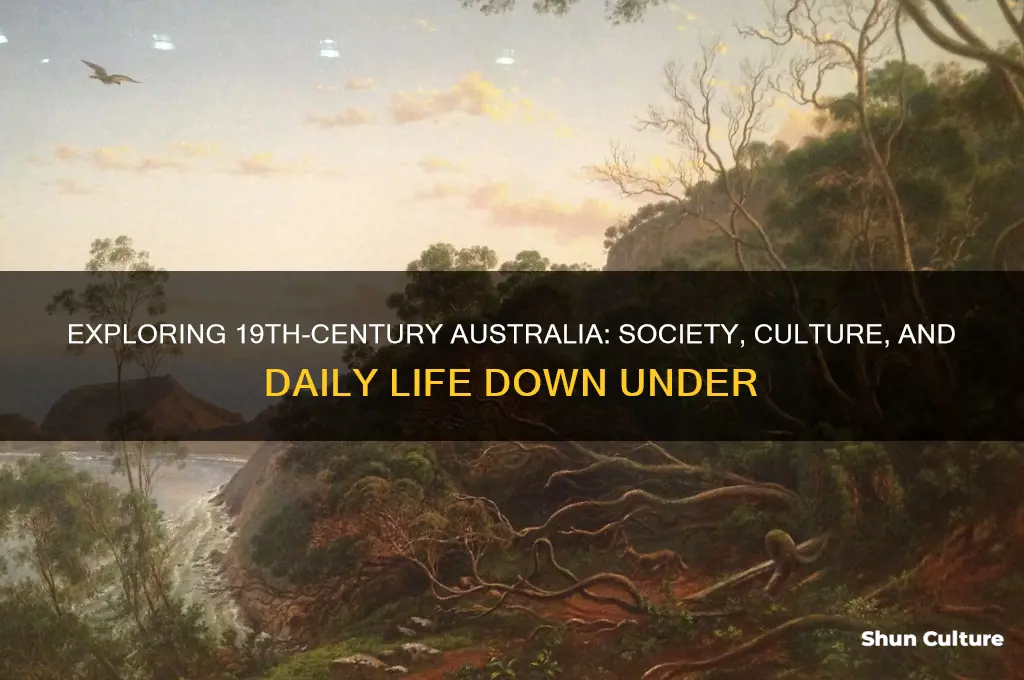 what was life like in 19th century australia