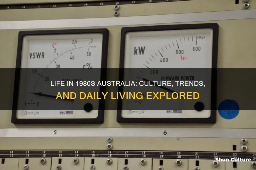 what was life like in the 1980
