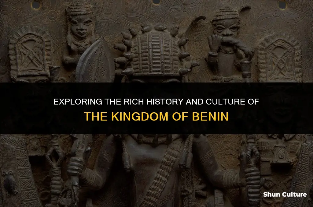 what was life like in the kingdom of benin