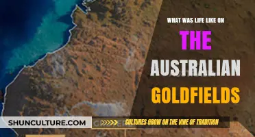 Life on the Australian Goldfields: Hardship, Hope, and Hidden Treasures