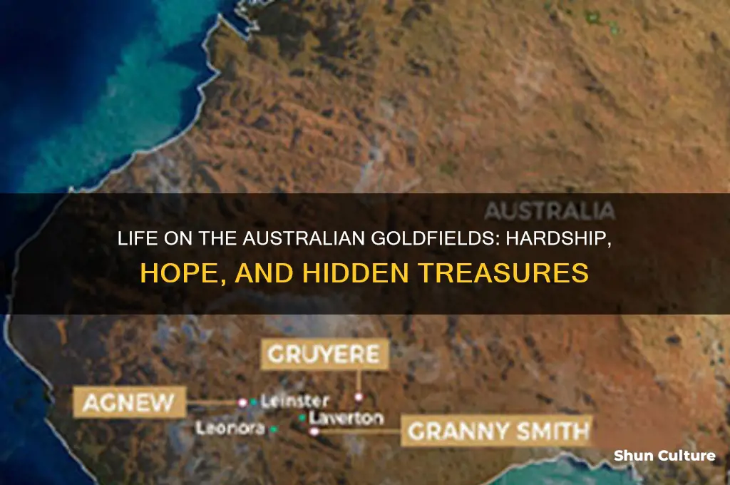 what was life like on the australian goldfields