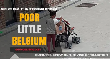Unveiling the Propagandist Ploy: 'Poor Little Belgium' Exposed