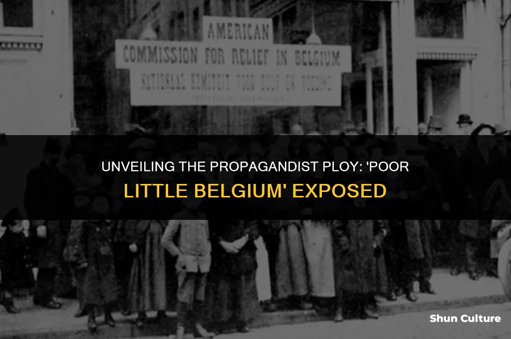 what was meant by the propagandist expression poor little belgium