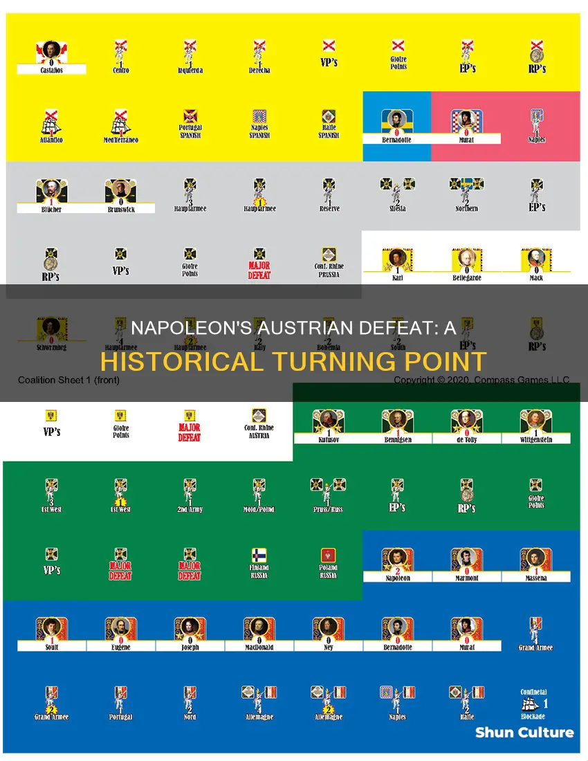 what was napoleon of france defeated austria important in history