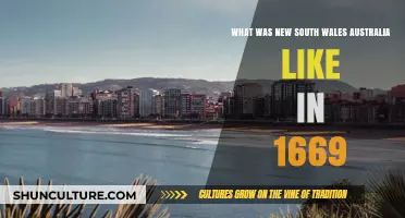 Exploring 1669 New South Wales: Indigenous Life, Landscape, and Early Encounters